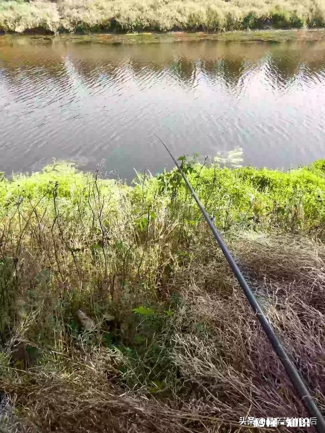 过去装备简陋但钓鱼很快乐，现在装备好了却找不到以前的快乐感觉，为什么