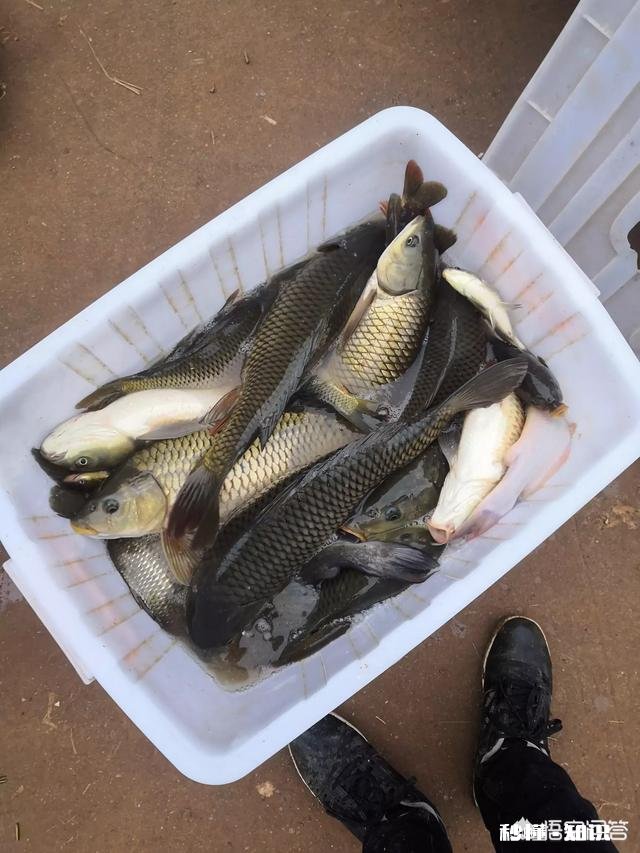 你们夜钓的地方离家远吗