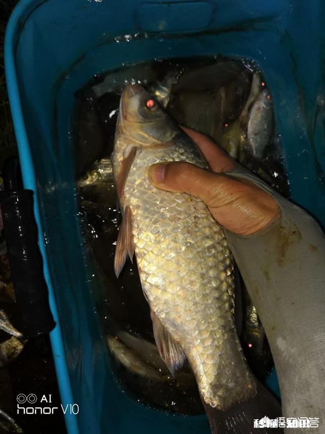 你们夜钓的地方离家远吗