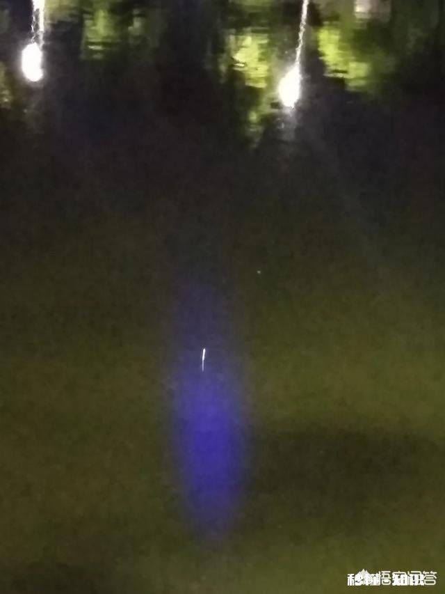 你们夜钓的地方离家远吗