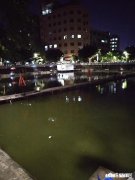 你们夜钓的地方离家远吗