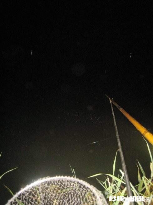 钓鱼时夜光漂可以在白天代替普通浮漂进行做钓吗