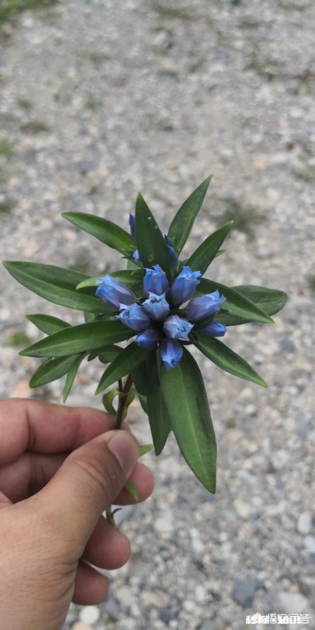 如果你有一百个亿，你会怎么花