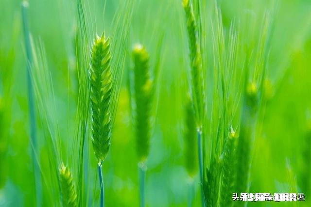 随着年龄的增长，你是不是发现自己也变成了曾经讨厌的那种人了