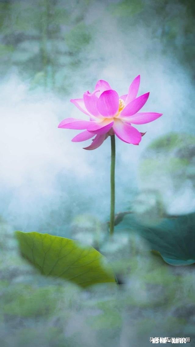 随着年龄的增长，你是不是发现自己也变成了曾经讨厌的那种人了