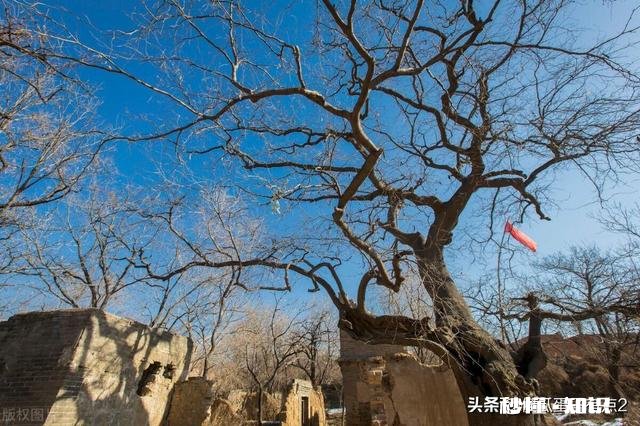 随着年龄的增长，你是不是发现自己也变成了曾经讨厌的那种人了