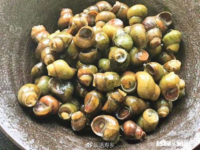 是单钩通线，还是双钩机会多是玉米还是田螺，或者俄料好，钓几天合适