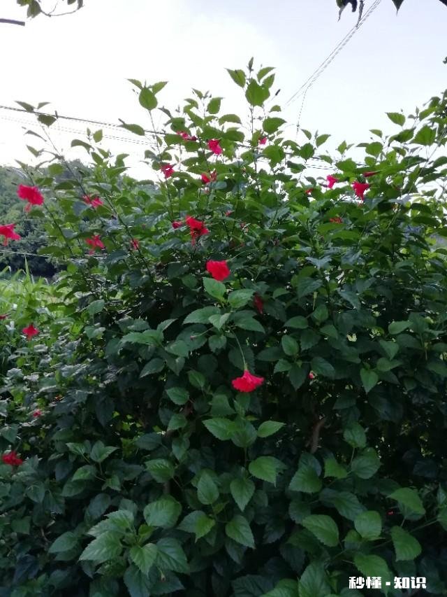 婚后的你是否比以前快乐，亦或是已经迷失了自我