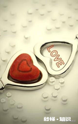 为什么总有宣扬爱情至上