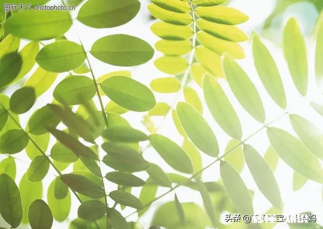 生了二胎和老婆姓可以接受吗