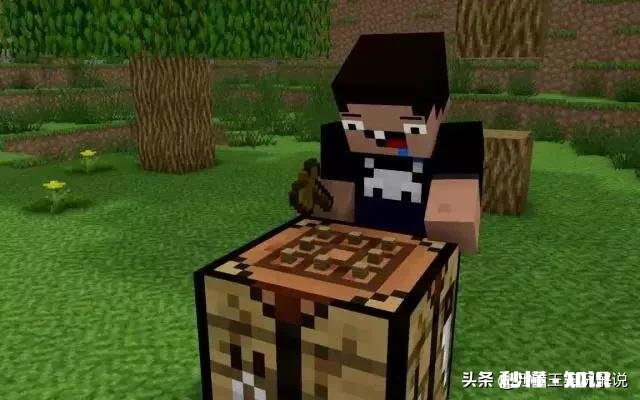 你为什么喜欢MC