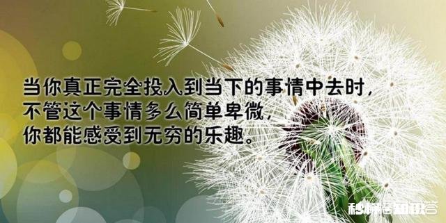 不喜欢自己专业、陷入迷茫的大三生活，应该怎么办