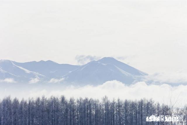 不喜欢自己专业、陷入迷茫的大三生活，应该怎么办