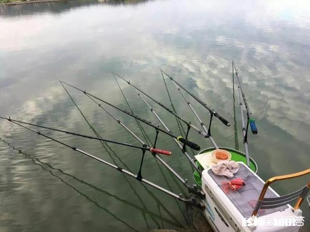 淡水鱼饵料能用海钓打窝吗