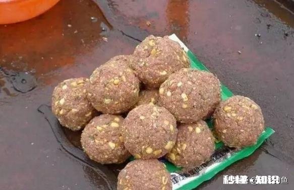 淡水鱼饵料能用海钓打窝吗
