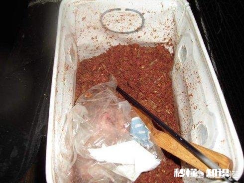 淡水鱼饵料能用海钓打窝吗