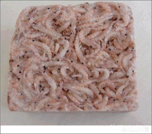 淡水鱼饵料能用海钓打窝吗