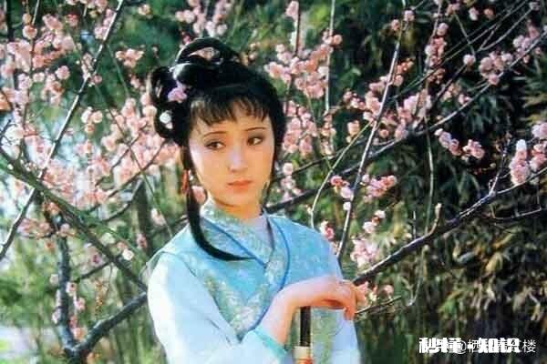 林黛玉如果在现代，她适合从事的职业是哪些