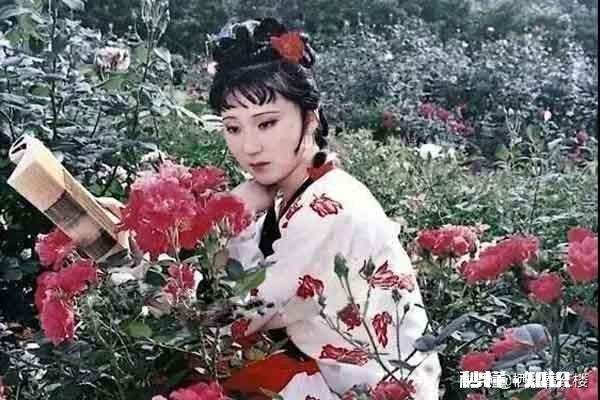 林黛玉如果在现代，她适合从事的职业是哪些