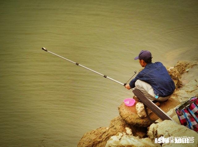 你有什么钓鱼心得可以分享