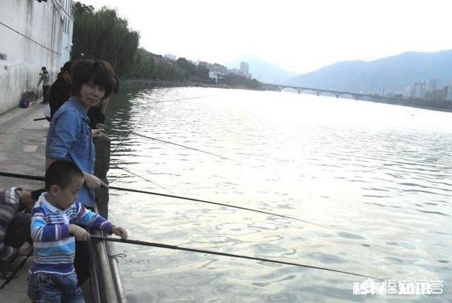 你有什么钓鱼心得可以分享