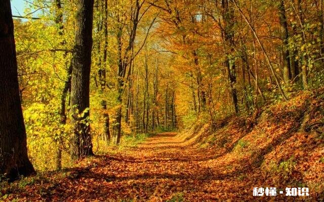 钱财失去，从头再来，有得有失，该是人生常态吗怎样面对