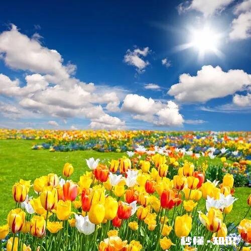 钱财失去，从头再来，有得有失，该是人生常态吗怎样面对