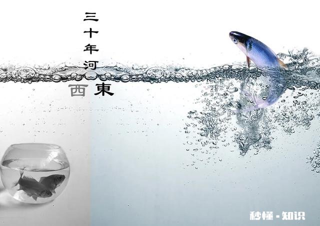 钱财失去，从头再来，有得有失，该是人生常态吗怎样面对