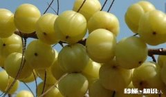 热带为什么农业落后