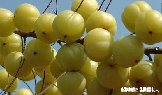 热带为什么农业落后