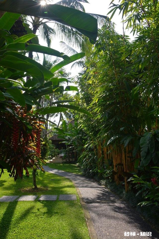 热带为什么农业落后