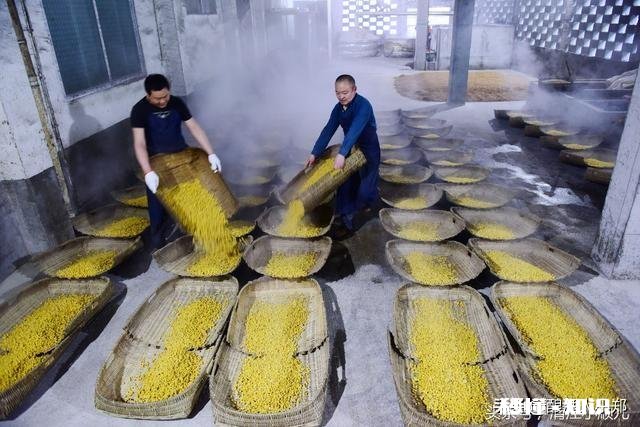 白酒就是低浓度的酒精吗白酒酿造工艺和生产酒精工艺是一样的吗