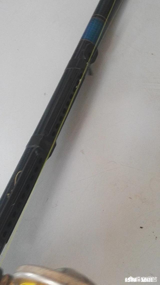 现在正是垂钓的大好时光，还不出门钓鱼吗