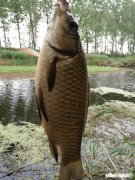 7米2鱼竿配多长线好用