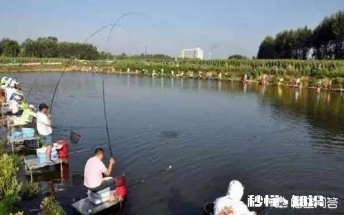 钓鱼子线多长比较合适