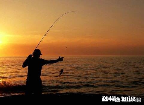 dmpt-s钓鱼有效果吗