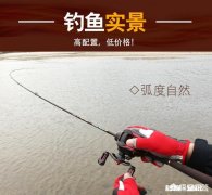 ns米兰达的鱼竿怎么样远投用