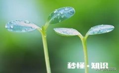 老公跟我吵架一句话都不让，吵完还对我冷战，我该低头吗