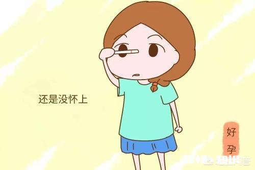 备孕两年未怀上要做哪些检查