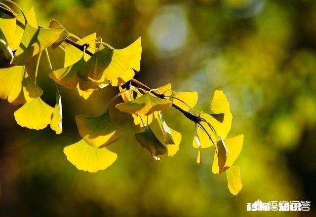 情到深处时,你会哭到失态吗