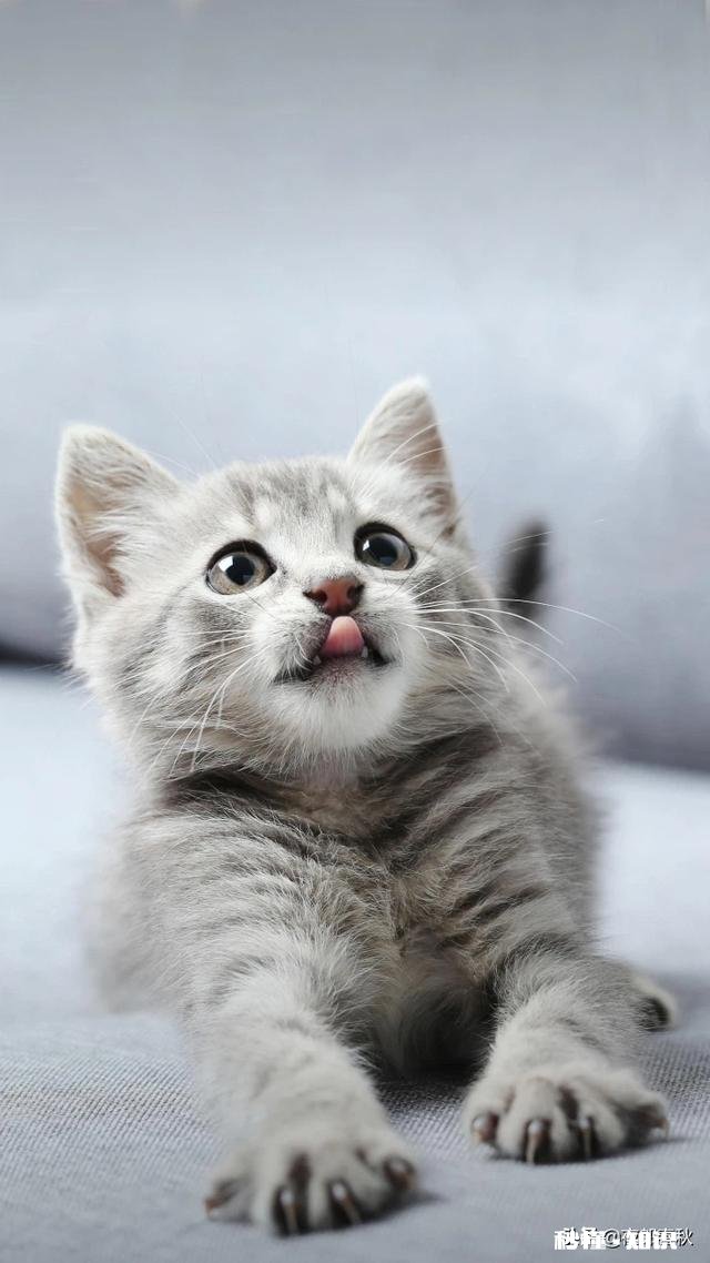 东北人，在贵州工作，租有房屋，现在可以回贵州吗怎么样