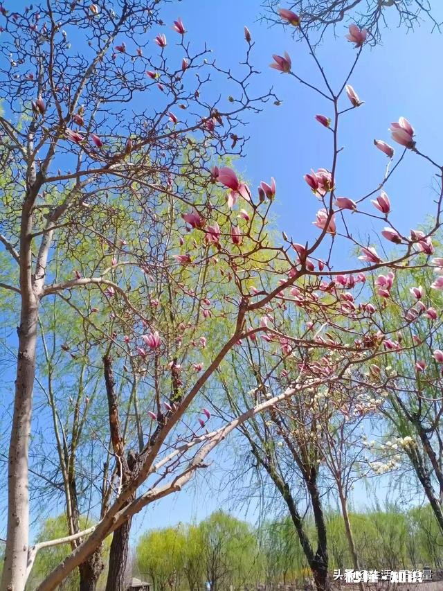 买房子价格怎么谈