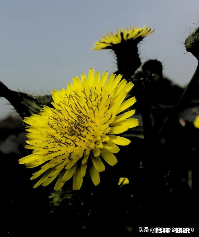 闺蜜连着两年忘了我的生日,说今年一定不会忘了,今天我生日可能又不记得了,该不理她吗
