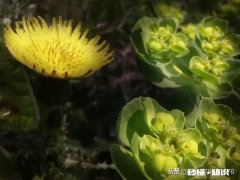 闺蜜连着两年忘了我的生日，说今年一定不会忘了，今天我生日可能又不记得了，该不理她吗