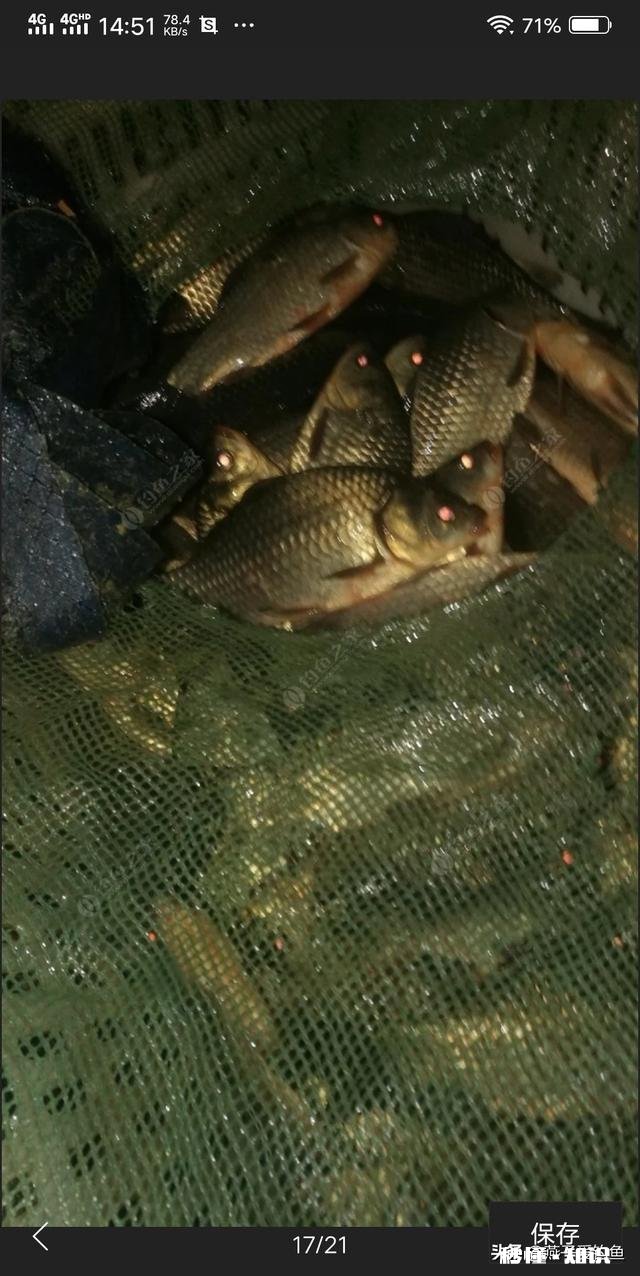 夏天夜钓是钓深还是钓浅