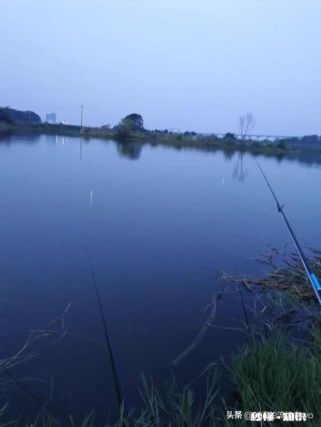 夏天夜钓是钓深还是钓浅