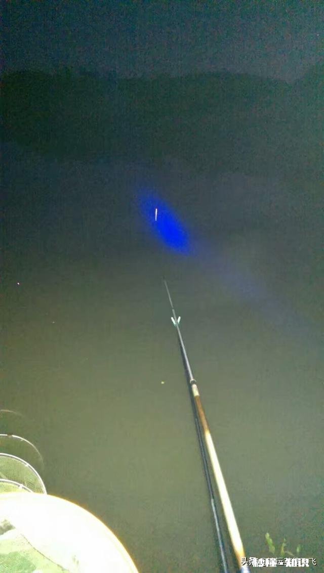 夏天夜钓是钓深还是钓浅