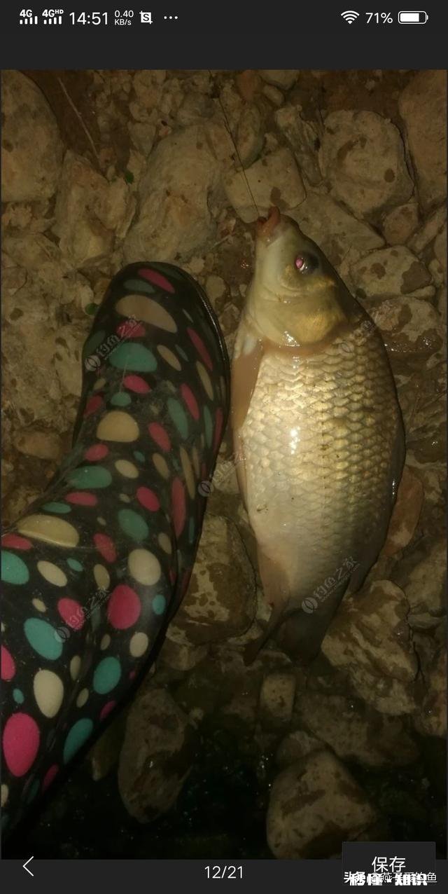 夏天夜钓是钓深还是钓浅