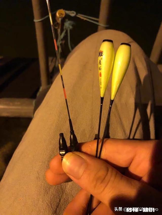 夏天夜钓是钓深还是钓浅