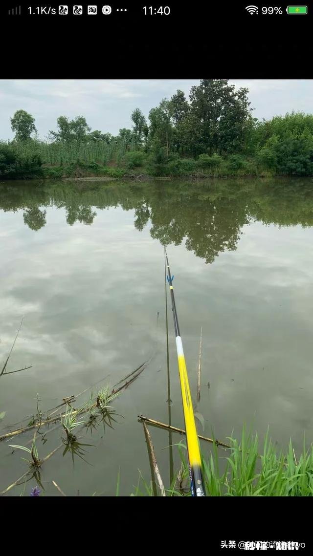 夏天夜钓是钓深还是钓浅